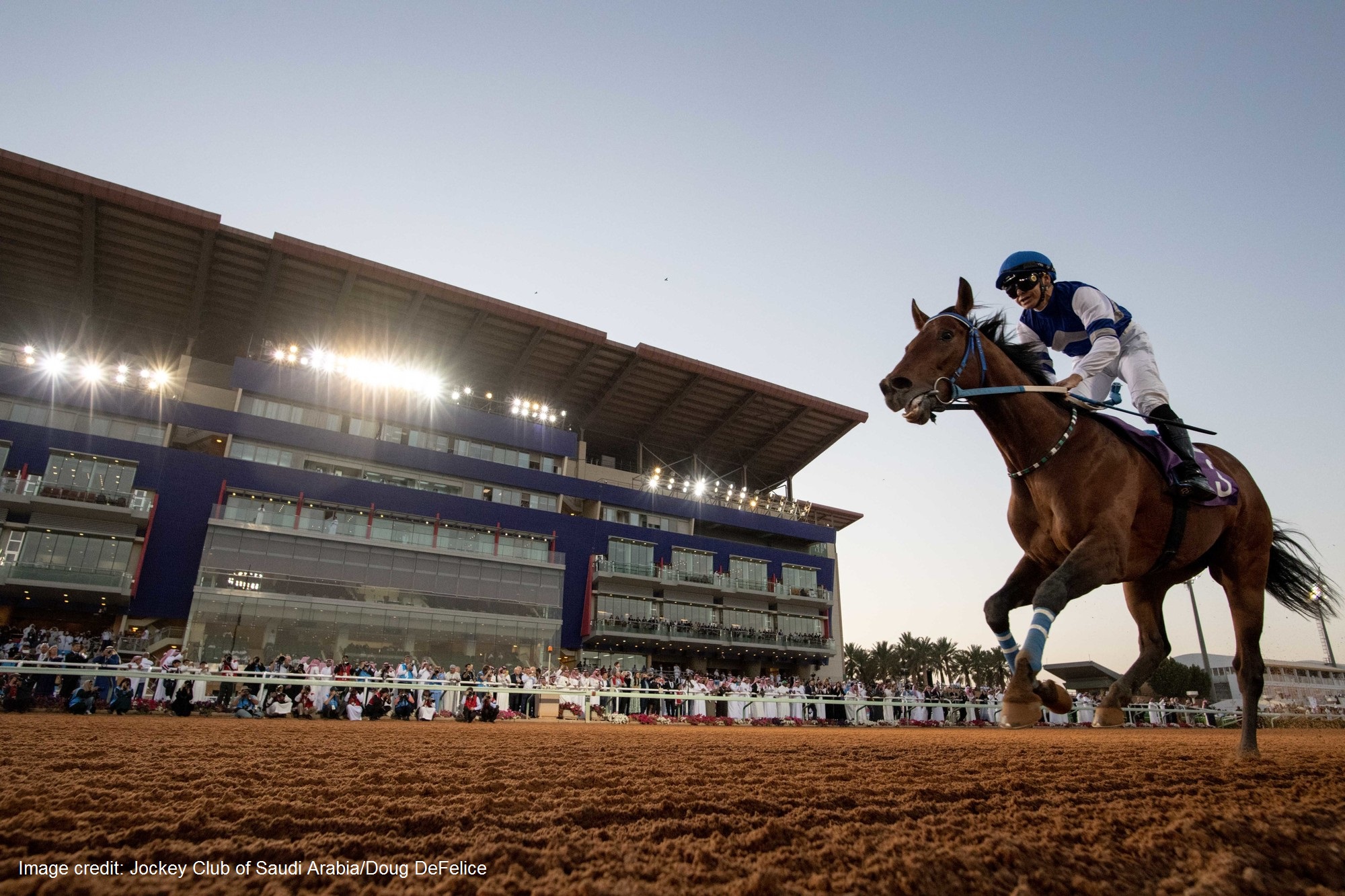 The Jockey Club Of Saudi Arabia, Saudi Arabia ARF Member Asian
